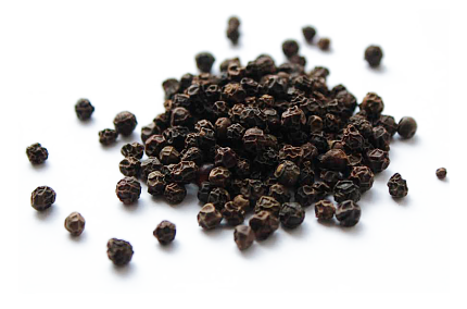 Перец черный (Piper nigrum)