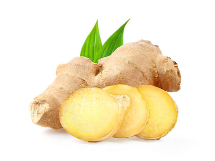 Имбирь (Zingiber officinale Roscoe)